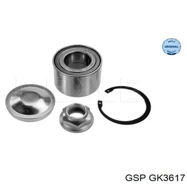 Tarcza hamulcowa tylna GK3617 GSP