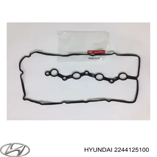Uszczelka pokrywy zaworowej silnika 2244125100 Hyundai/Kia