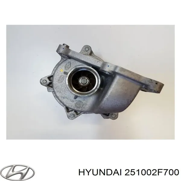 Do koszyka 251002F700 Hyundai/Kia Pompa chłodząca wodna