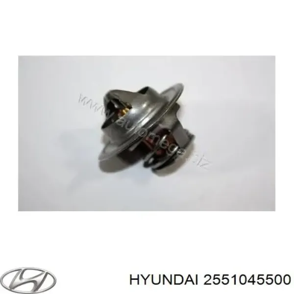 Termostat 2551045500 Hyundai/Kia
