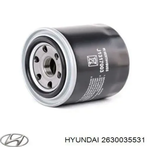 Filtr oleju Hyundai/Kia 2630035531