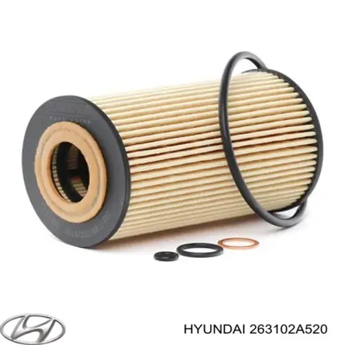 Filtr oleju Hyundai/Kia 263102A520 cena, od