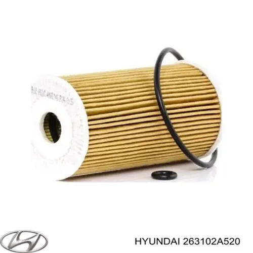 Filtr oleju Hyundai/Kia 263102A520