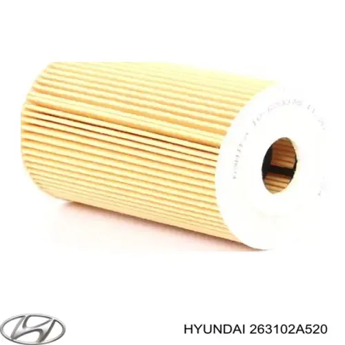 Do koszyka 263102A520 Hyundai/Kia Filtr oleju