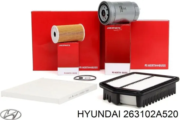 263102A520 Hyundai/Kia Filtr oleju