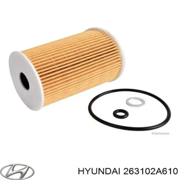 Filtr oleju Hyundai/Kia 263102A610