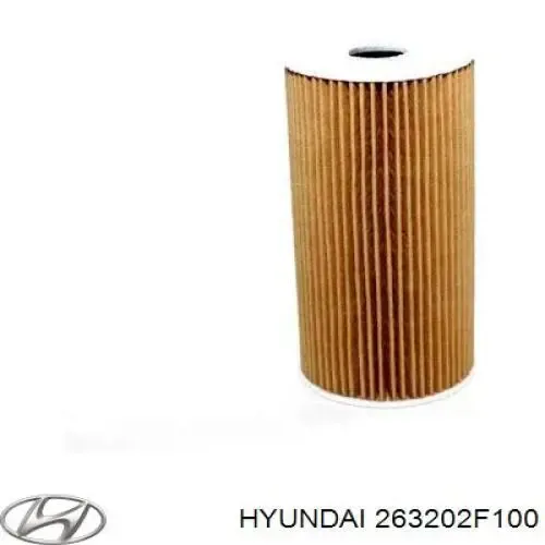 Filtr oleju Hyundai/Kia 263202F100 cena, od