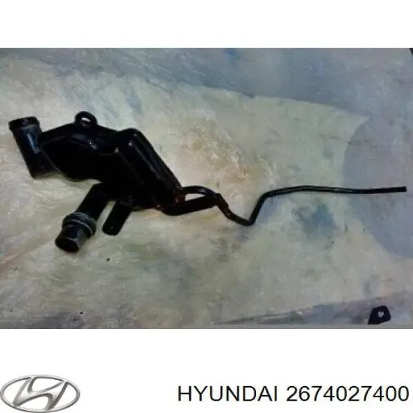 Separator oleju układu wentylacji kadłuda (bloku silnika)  Hyundai Santa Fe II