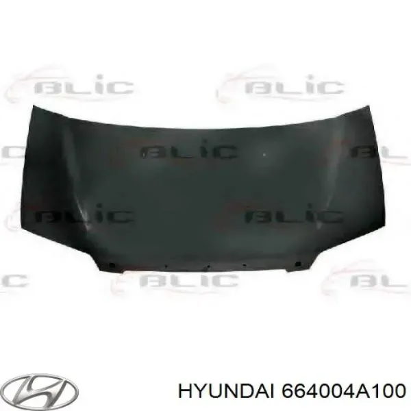 Maska silnika Hyundai H-1 STAREX Starex