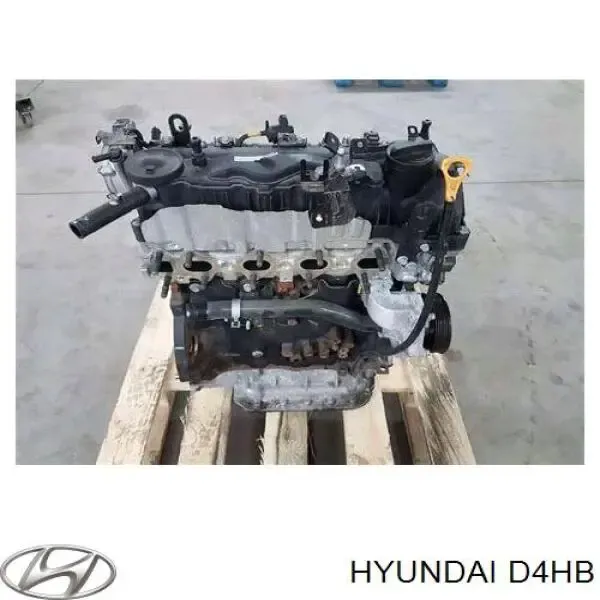 Silnik w komplecie D4HB Hyundai/Kia