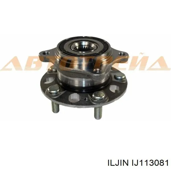 Piasta tylna IJ113081 Iljin