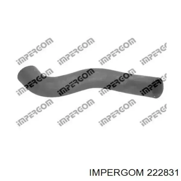 Przewód (króciec) układu chłodzenia 13166366 General Motors