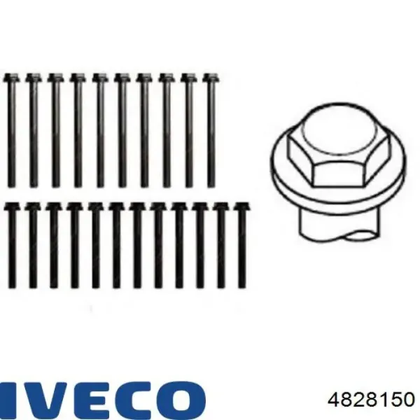 Śruba głowicy cylindrów 4828150 Iveco
