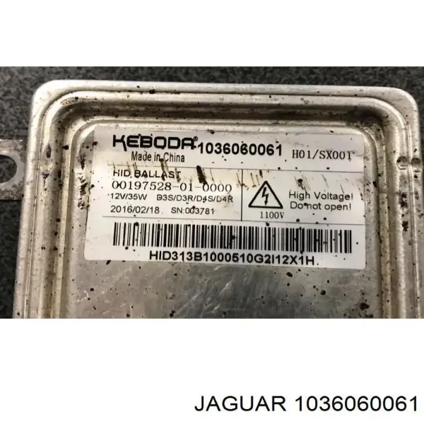  1036060061 Jaguar