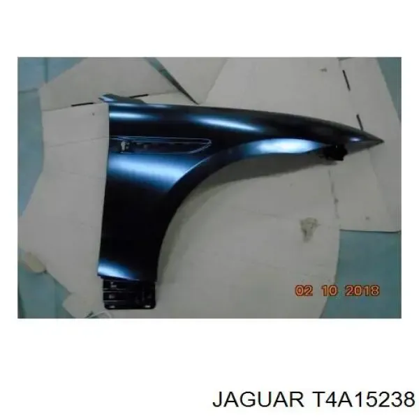  T4A15238 Jaguar