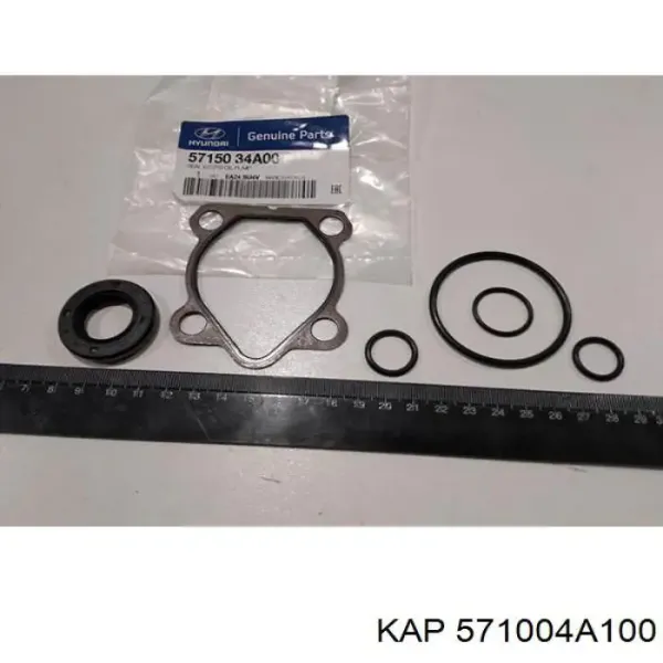 Pompa wspomagania hydraulicznego kierownicy Hyundai H-1 STAREX Starex