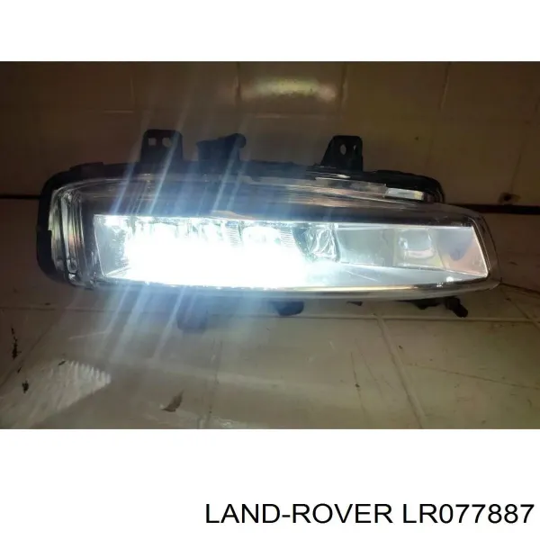 Lampa przeciwmgielna prawa LR077887 Land Rover