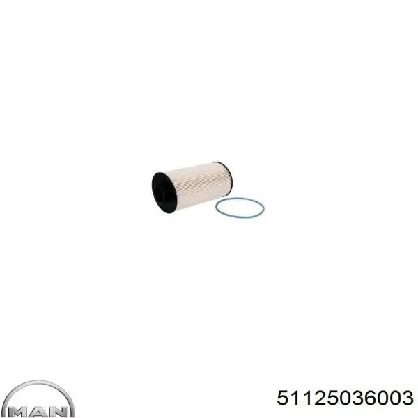 Filtr paliwa PU10019Z Mann-Filter