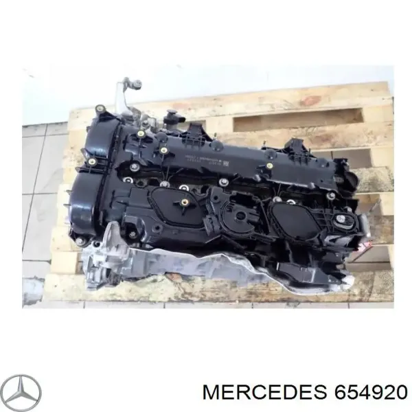 Silnik w komplecie 654920 Mercedes