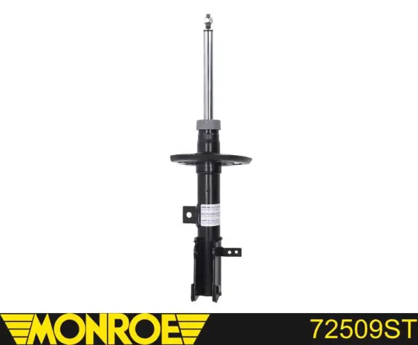 Amortyzator przedni prawy RS315642 Raiso