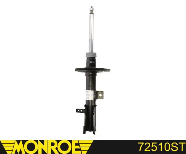 Amortyzator przedni lewy RS315641 Raiso