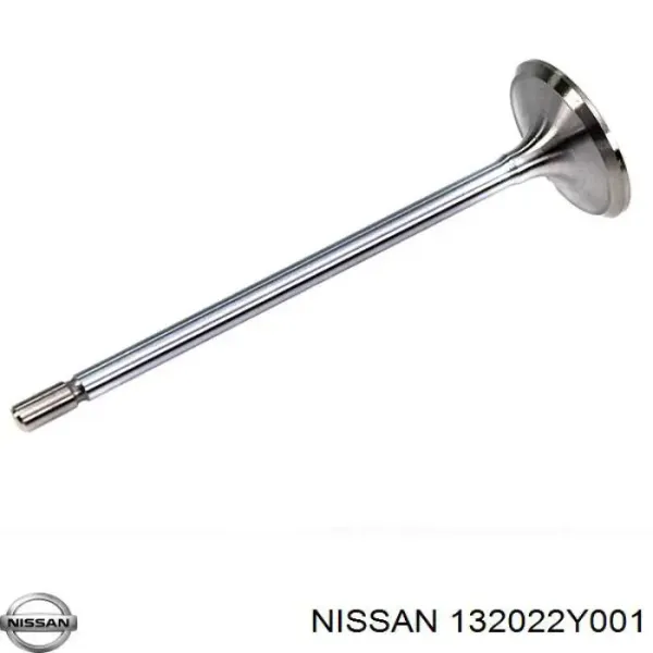 Zawór wydechowy 132022Y001 Nissan/Infiniti