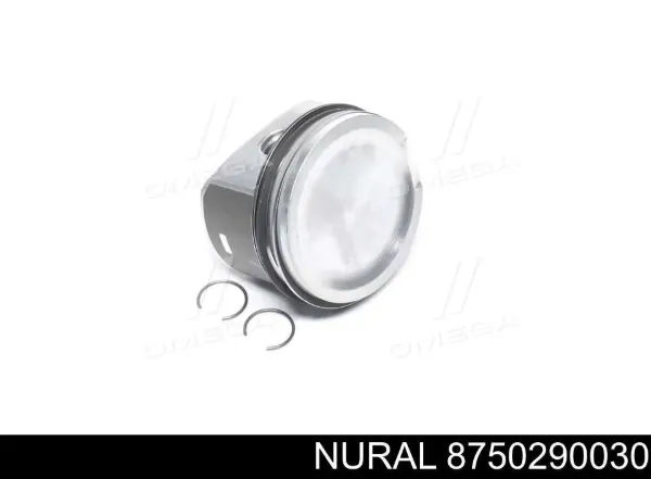 Tłok, komplet do jednego cylindru, STD 8750290030 Nural