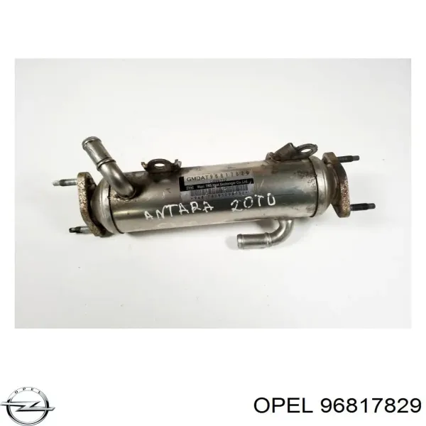 Chłodnica układu recyrkulacji spalin EGR 96817829 Opel