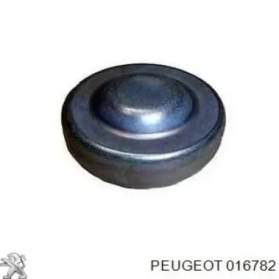 Do koszyka Zaślepka głowicy cylindrów/bloku cylindrów Peugeot 407 