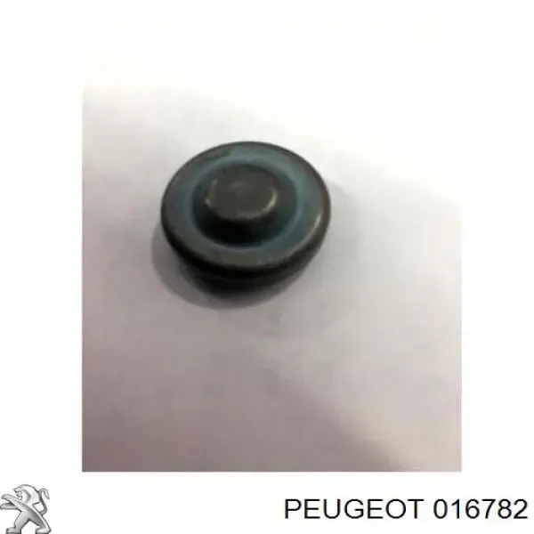 Zaślepka głowicy cylindrów/bloku cylindrów Peugeot 407 SW 6E
