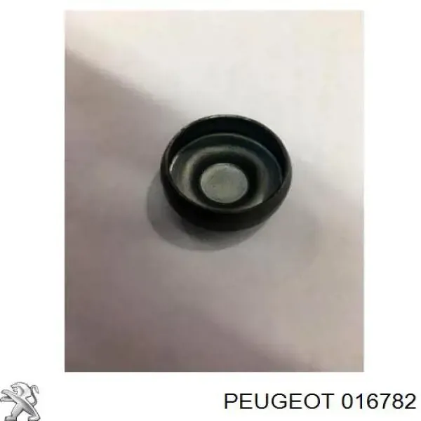 Zaślepka głowicy cylindrów/bloku cylindrów Peugeot 407 SW 6E