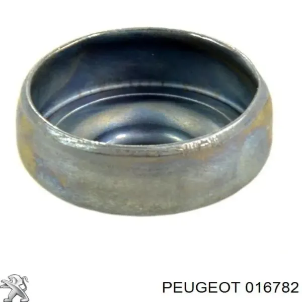 Do koszyka Zaślepka głowicy cylindrów/bloku cylindrów Peugeot 407 