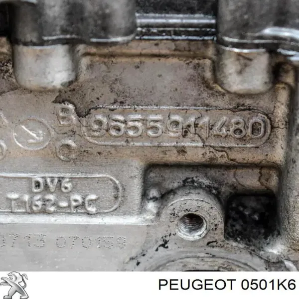 Wał korbowy silnika Peugeot 407 cena, od