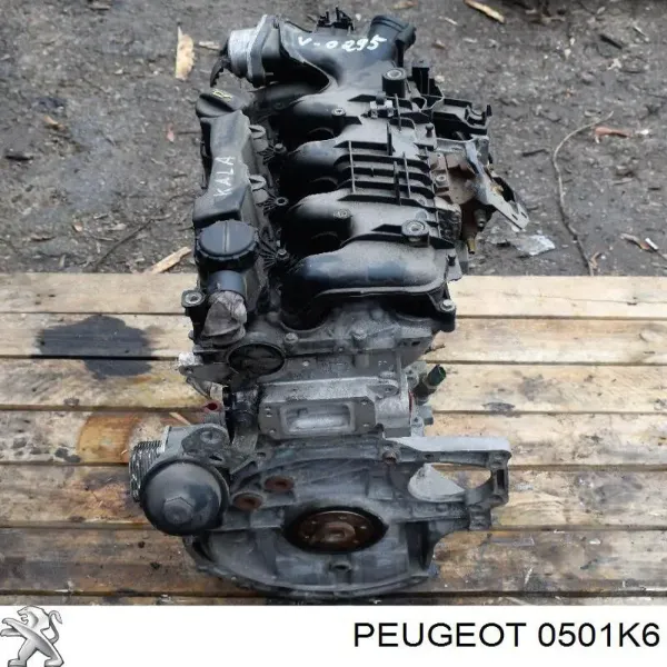 Wał korbowy silnika Peugeot 407 SW 6E