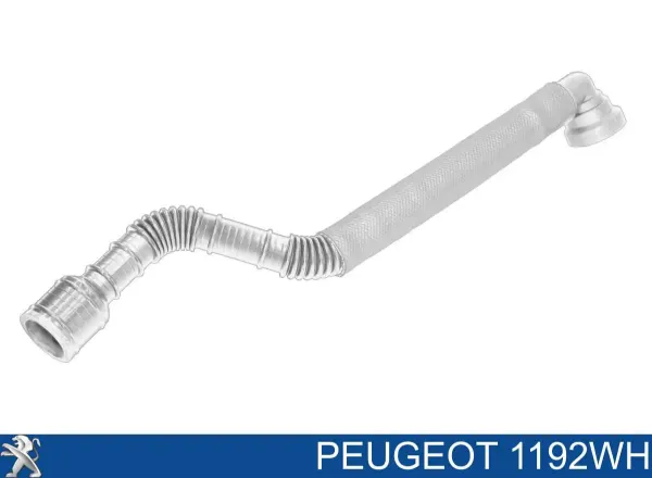 Króciec wentylacji kadłuba (separatora oleju) Peugeot 407 cena, od