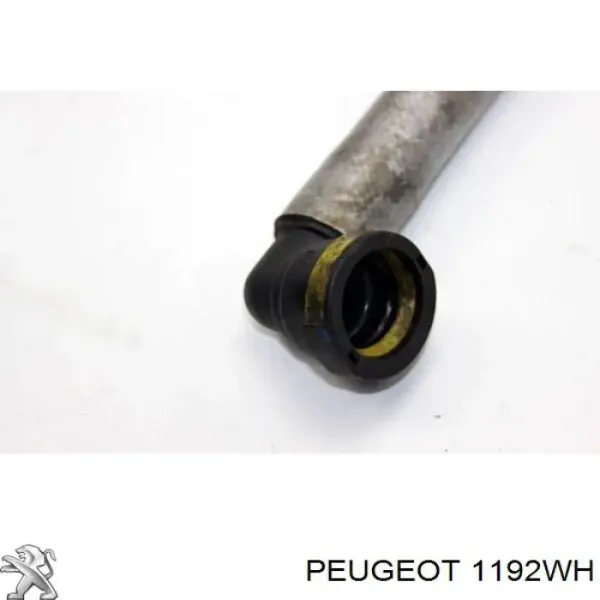 Króciec wentylacji kadłuba (separatora oleju) Peugeot 407 SW 6E