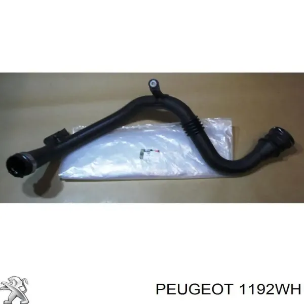 Króciec wentylacji kadłuba (separatora oleju) Peugeot 407 cena, od