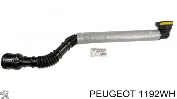 Do koszyka Króciec wentylacji kadłuba (separatora oleju) Peugeot 407 