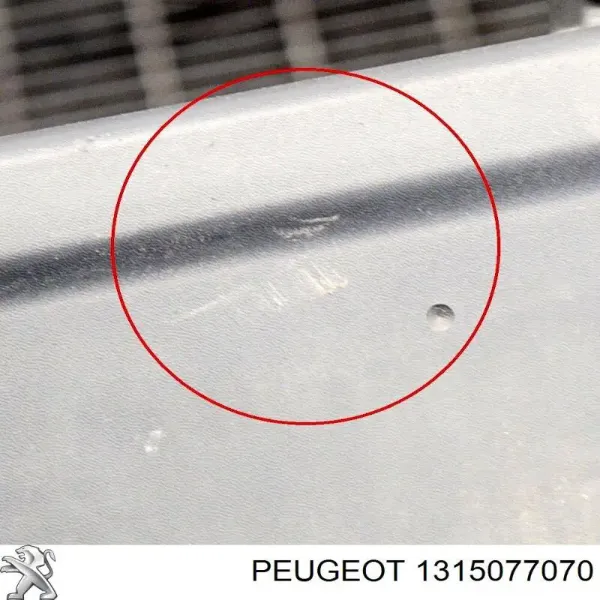 Zderzak przedni, środkowa część 1315077070 Peugeot/Citroen