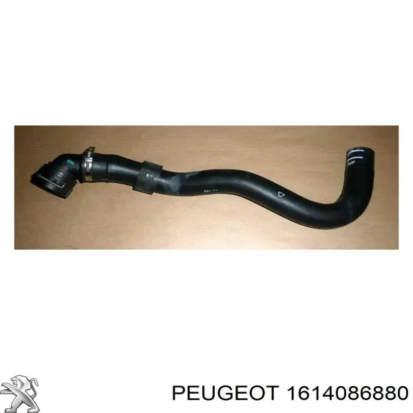Przewód (króciec) chłodnicy dolny 1614086880 Peugeot/Citroen