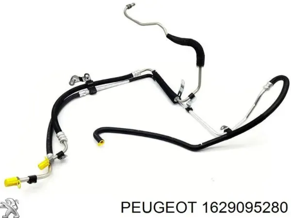 Pompa wspomagania hydraulicznego kierownicy 1629095280 Peugeot/Citroen