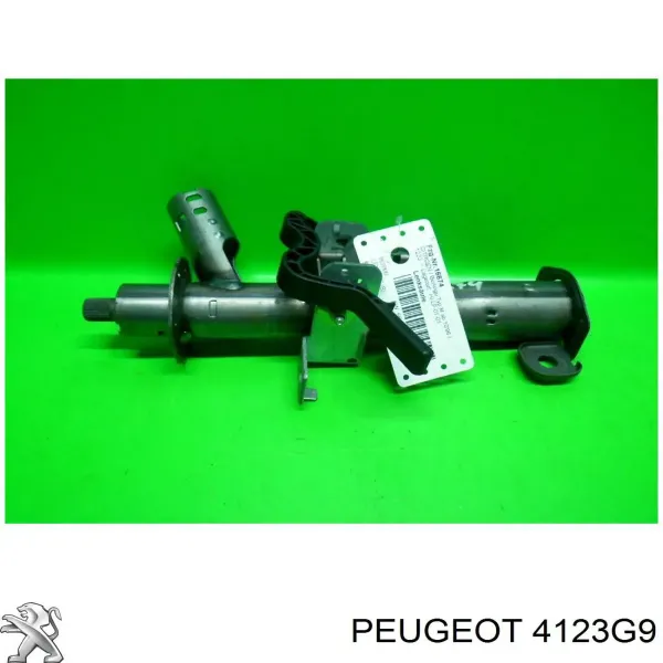 Kolumna (wał) kierownicza (kierownicy) Citroen Berlingo M