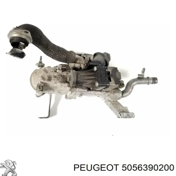  5056390200 Peugeot/Citroen