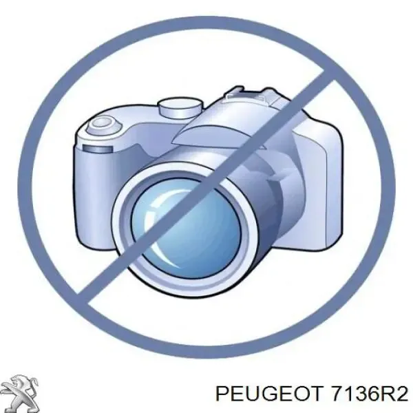  Nadkole błotnika przedniego prawe Citroen Berlingo autobus (MF) (1996 - 2008) 