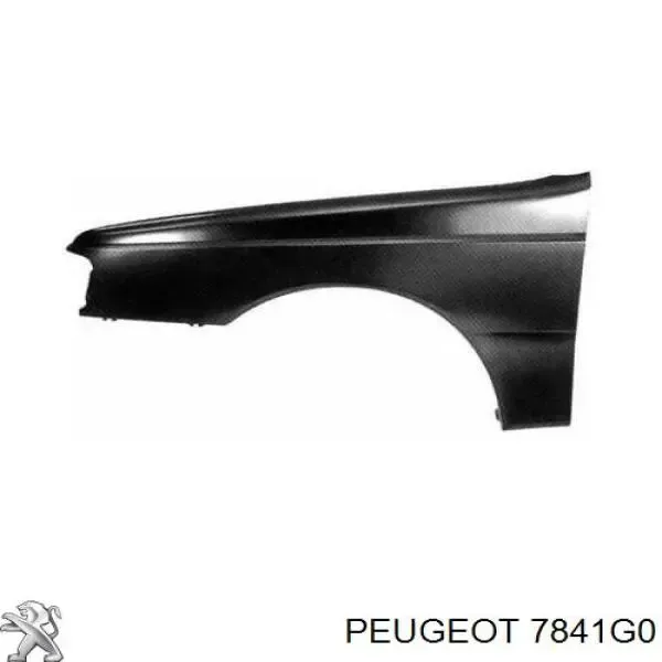 Błotnik przedni prawy Peugeot 405 I
