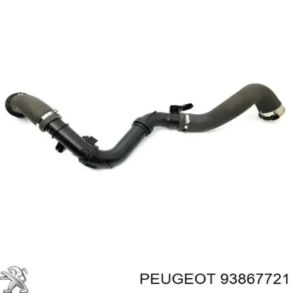 Przewód (króciec) intercoolera 93867721 Renault (RVI)