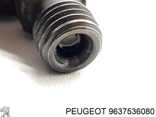  Wtryskiwacz paliwa Citroen Berlingo autobus (MF) (1996 - 2008) 