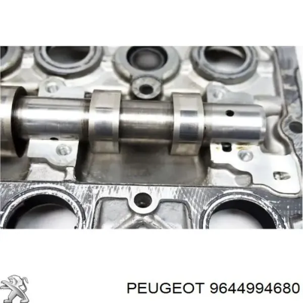 Obudowa wałka rozrządu do Peugeot 407 SW 6E