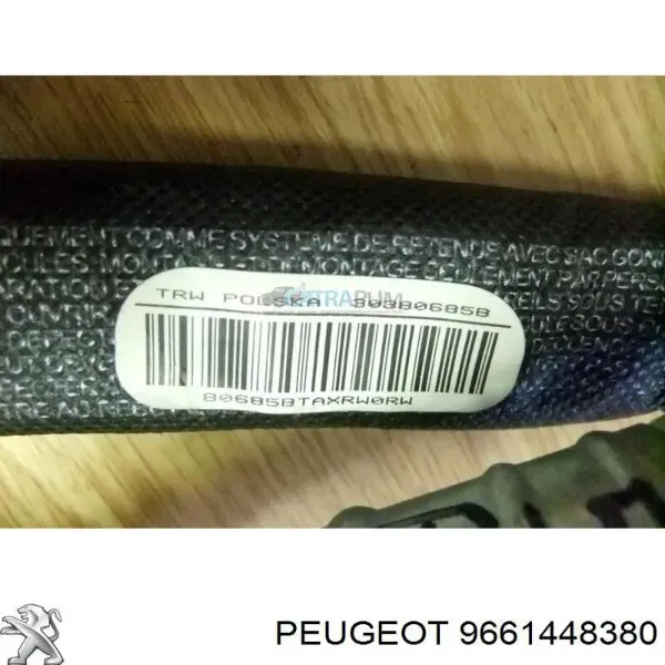  9661448380 Peugeot/Citroen
