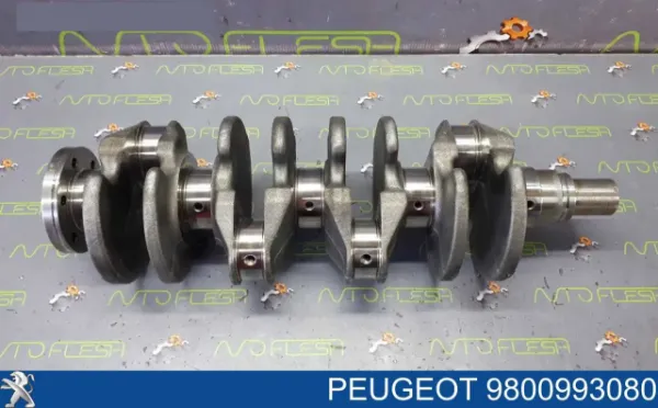 Wał korbowy silnika Peugeot 407 cena, od